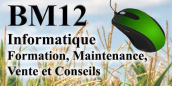 BM12 Informatique formation maintenance vente et conseil